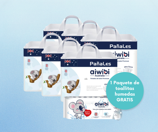 Pack 6x Premium Día (G) + 1 toallitas humedas de ragalo
