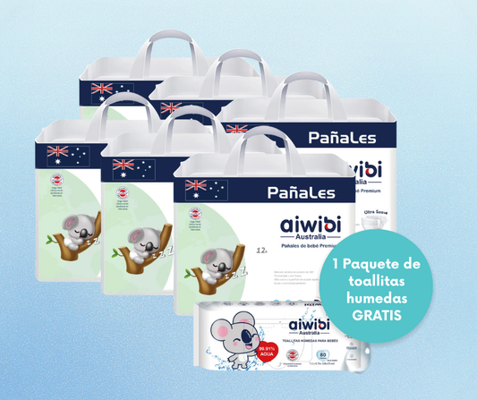 Pack 6x Premium Día (M) + 1 toallitas humedas de ragalo